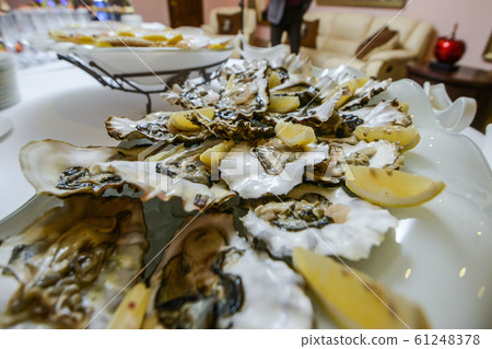 Fresh open oyster on a white plate. in the restaurant appetizer Fresh open oyster on a white plate. in the restaurant appetizer 61248378