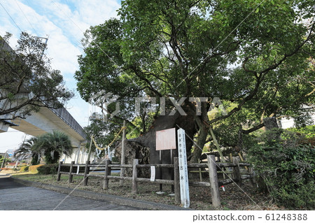 泉市指定文化財產 泉市指定文化財產 61248388