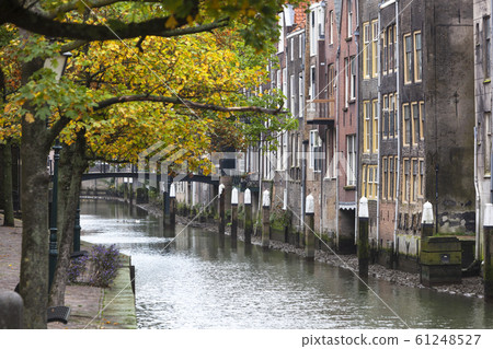 Canal houses in Dordrecht in the Netherlands Canal houses in Dordrecht in the Netherlands 61248527