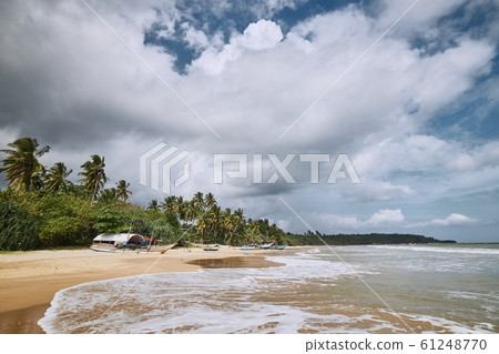 Beautiful sand beach in Sri Lanka 61248770