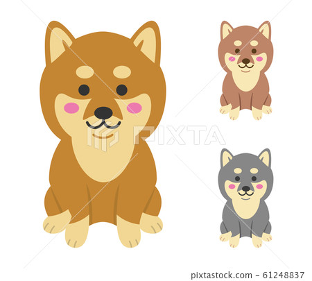 柴犬的插圖圖像 插圖素材 圖庫