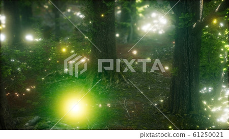 Firefly Flying in the Forest 61250021