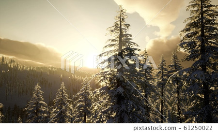 Fantastic Evening Winter Landscape 61250022