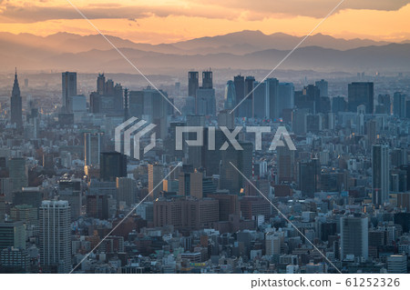 《東京》東京都夜景 《東京》東京都夜景 61252326