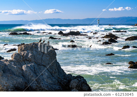 《Kanagawa Prefecture》Morito Coast/Rough waves 《Kanagawa Prefecture》Morito Coast/Rough waves 61253045
