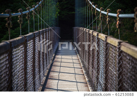回顧懸索橋 回顧懸索橋 61253088
