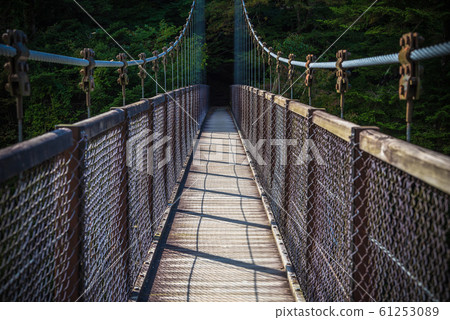 Retrospective suspension bridge 61253089
