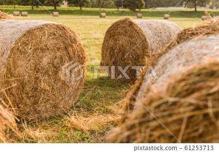 Haystack harvest field landscape. Haystack nature agriculture background. Photo haystack rolls 61253713