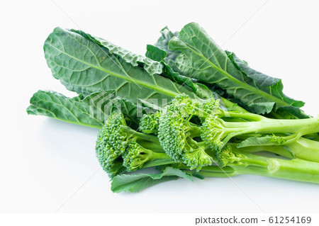 Aletta和Stick Senor Aletta和Stick Senor 61254169