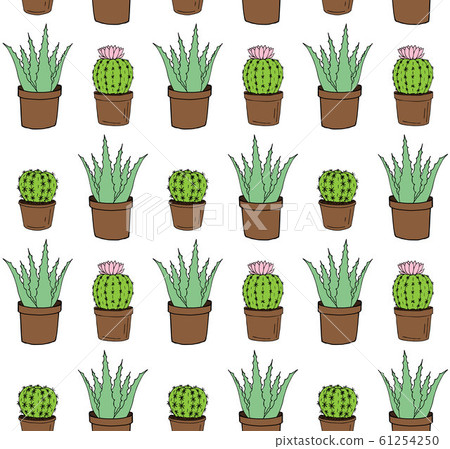 Seamless pattern of doodle green aloe and cacti 61254250