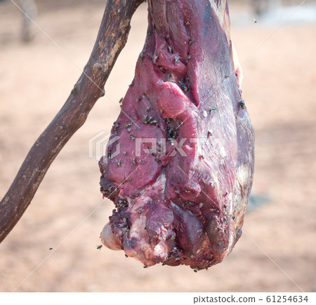 meat with flies meat with flies 61254634
