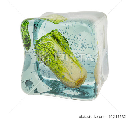 Chinese cabbage napa frozen in ice cube 61255582