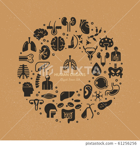 Circular template of linear vector icons of human 61256256