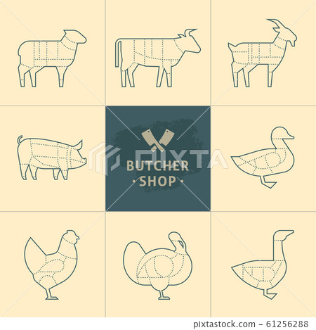 Set a schematic view of animals for the butcher 61256288