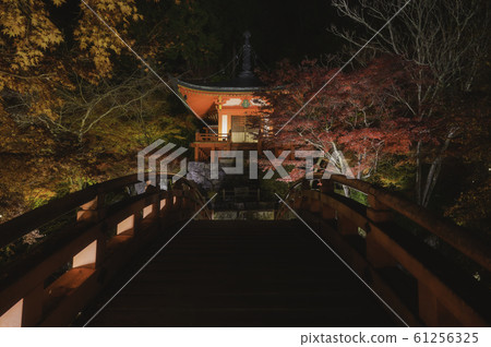 Colorful autumn night, illumination of Daigo-ji temple in Kyoto, Japan Colorful autumn night, illumination of Daigo-ji temple in Kyoto, Japan 61256325