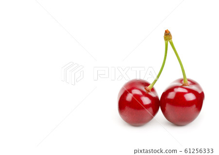 Cherry berries isolated on white background. Free Cherry berries isolated on white background. Free 61256333