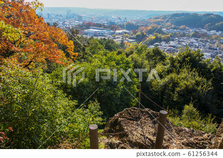 Autumn leaves of Tenranyama-Hanno city seen from the rocky area 61256344