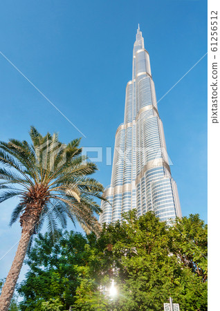 Burj Khalifa, palm tree and blue sky 61256512