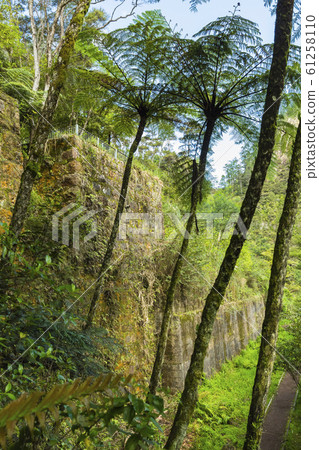 Karangahake Valley, New Zealand Karangahake Valley, New Zealand 61258110