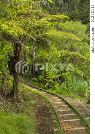 New Zealand Kalanga Hake Valley track trace 61258112