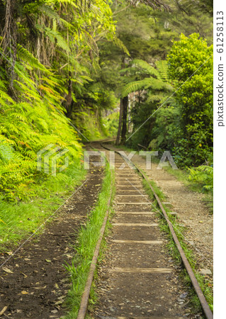 New Zealand Kalanga Hake Valley track trace New Zealand Kalanga Hake Valley track trace 61258113