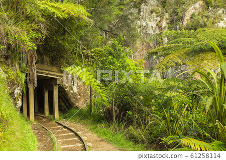 New Zealand Kalangahaque Gorge Track Tracks and Tunnels New Zealand Kalangahaque Gorge Track Tracks and Tunnels 61258114