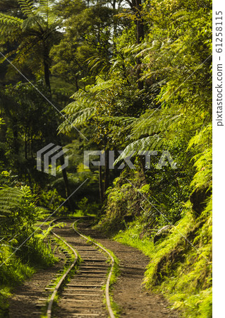 New Zealand Kalanga Hake Valley track trace New Zealand Kalanga Hake Valley track trace 61258115
