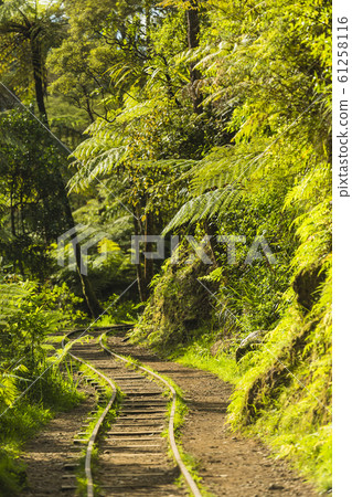 New Zealand Kalanga Hake Valley track trace 61258116