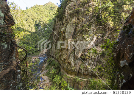 Suspension Bridge in Karangahaque Valley, New Zealand Suspension Bridge in Karangahaque Valley, New Zealand 61258129