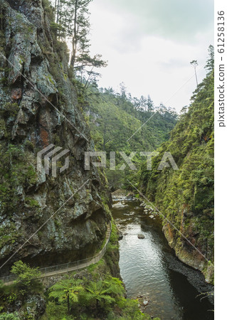 Karangahake Valley, New Zealand 61258136