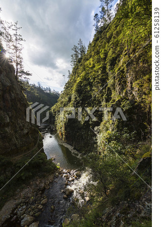 Karangahake Valley, New Zealand 61258139