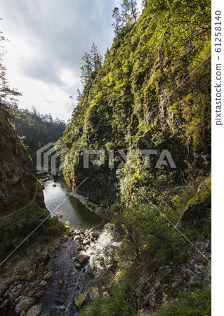 Karangahake Valley, New Zealand 61258140