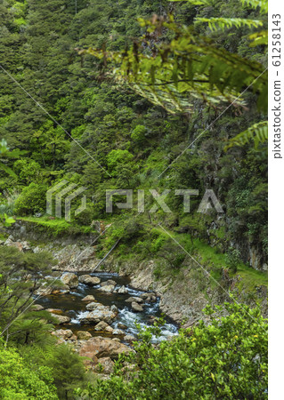 Karangahake Valley, New Zealand Karangahake Valley, New Zealand 61258143