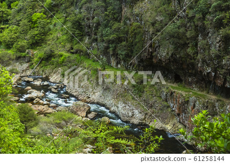 Karangahake Valley, New Zealand Karangahake Valley, New Zealand 61258144