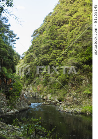 Karangahake Valley, New Zealand Karangahake Valley, New Zealand 61258148