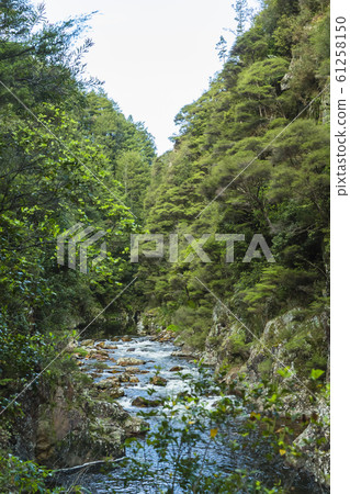 Karangahake Valley, New Zealand 61258150
