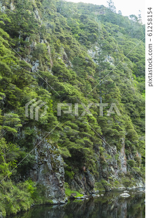 Karangahake Valley, New Zealand 61258154