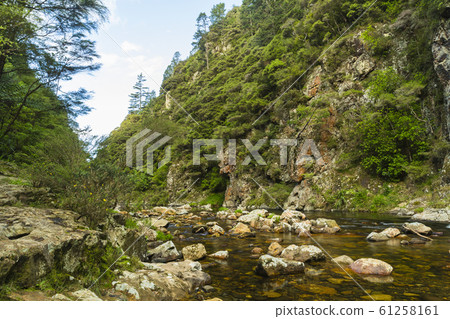 新西蘭Karangahake谷 61258161