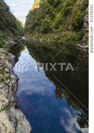 新西蘭Karangahake谷 61258162