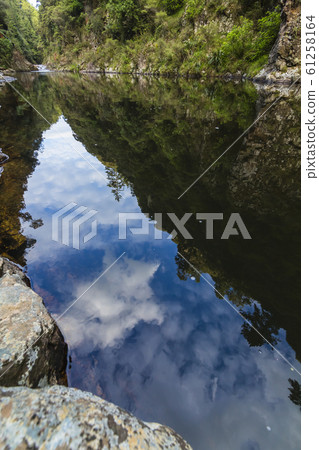 Karangahake Valley, New Zealand 61258164