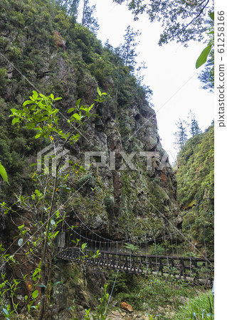 Suspension Bridge in Karangahaque Valley, New Zealand Suspension Bridge in Karangahaque Valley, New Zealand 61258166
