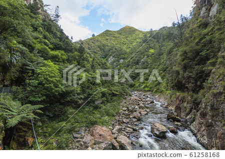 Karangahake Valley, New Zealand Karangahake Valley, New Zealand 61258168