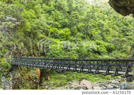Suspension Bridge in Karangahaque Valley, New Zealand 61258170