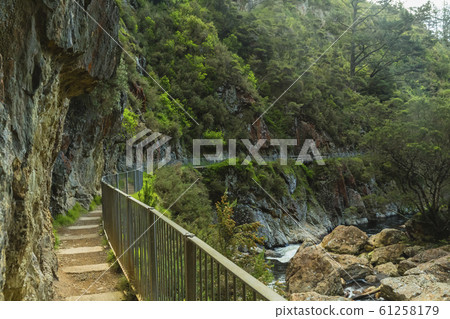 Karangahake Valley, New Zealand 61258179