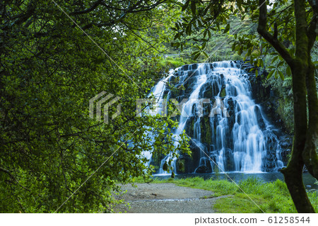 New Zealand Karangahake Gorge Ofaroa Falls New Zealand Karangahake Gorge Ofaroa Falls 61258544