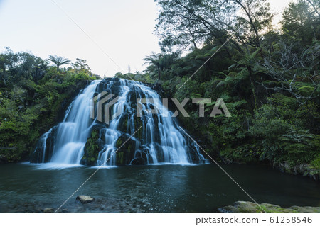 New Zealand Karangahake Gorge Ofaroa Falls New Zealand Karangahake Gorge Ofaroa Falls 61258546