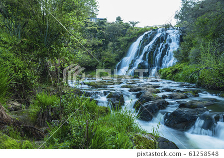 New Zealand Karangahake Gorge Ofaroa Falls New Zealand Karangahake Gorge Ofaroa Falls 61258548