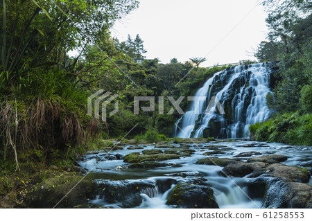 New Zealand Karangahake Gorge Ofaroa Falls New Zealand Karangahake Gorge Ofaroa Falls 61258553
