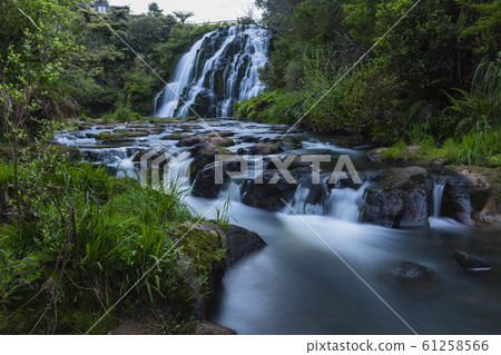 新西蘭Karangahake峽谷Ofaroa Falls 新西蘭Karangahake峽谷Ofaroa Falls 61258566