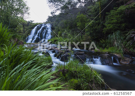 New Zealand Karangahake Gorge Ofaroa Falls New Zealand Karangahake Gorge Ofaroa Falls 61258567